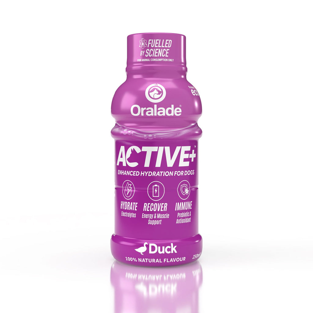 Oralade Active Isotonic Re-Hydration Fluid For Dogs 250ml