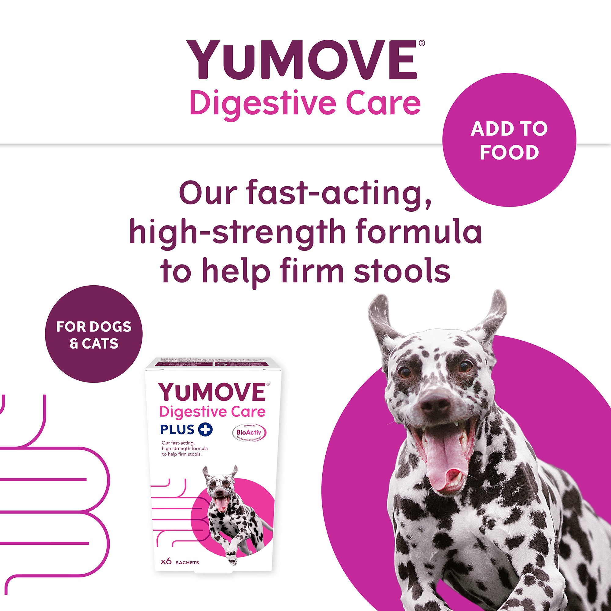 YuMOVE Digestive Care PLUS - Various Sizes