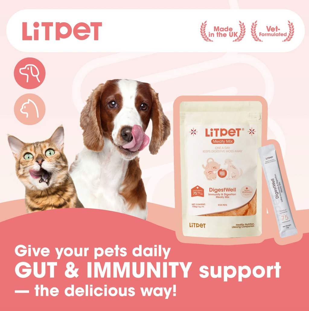 Litpet Digest Well Meaty Mix 10 x 15g Sachets per pack