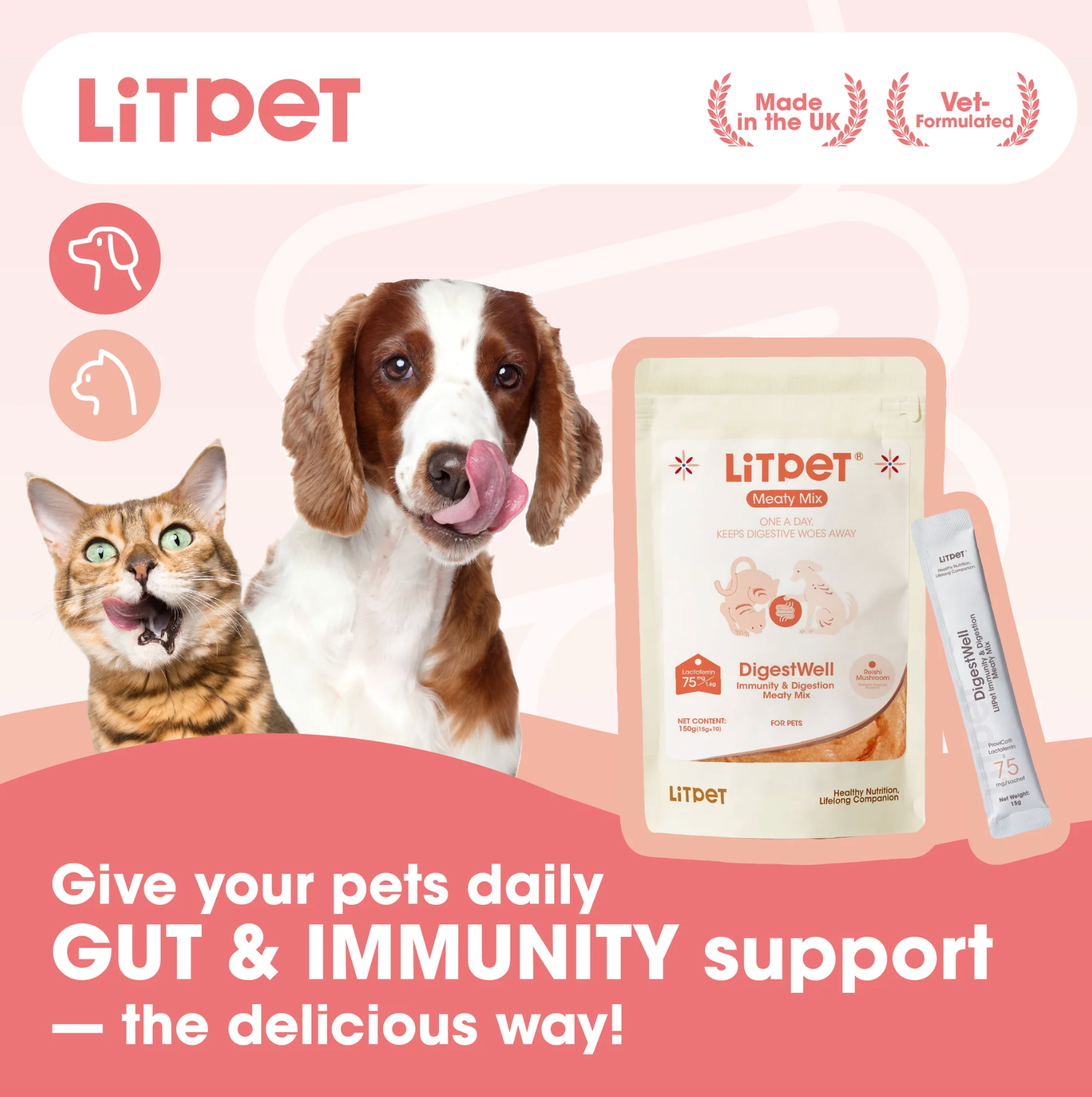 Litpet Digest Well Meaty Mix 10 x 15g Sachets per pack