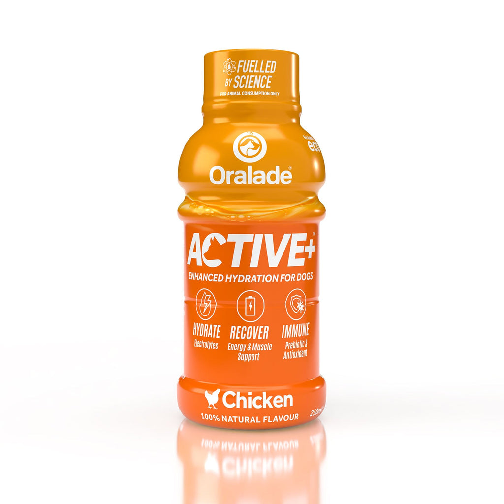 Oralade Active Isotonic Re-Hydration Fluid For Dogs 250ml