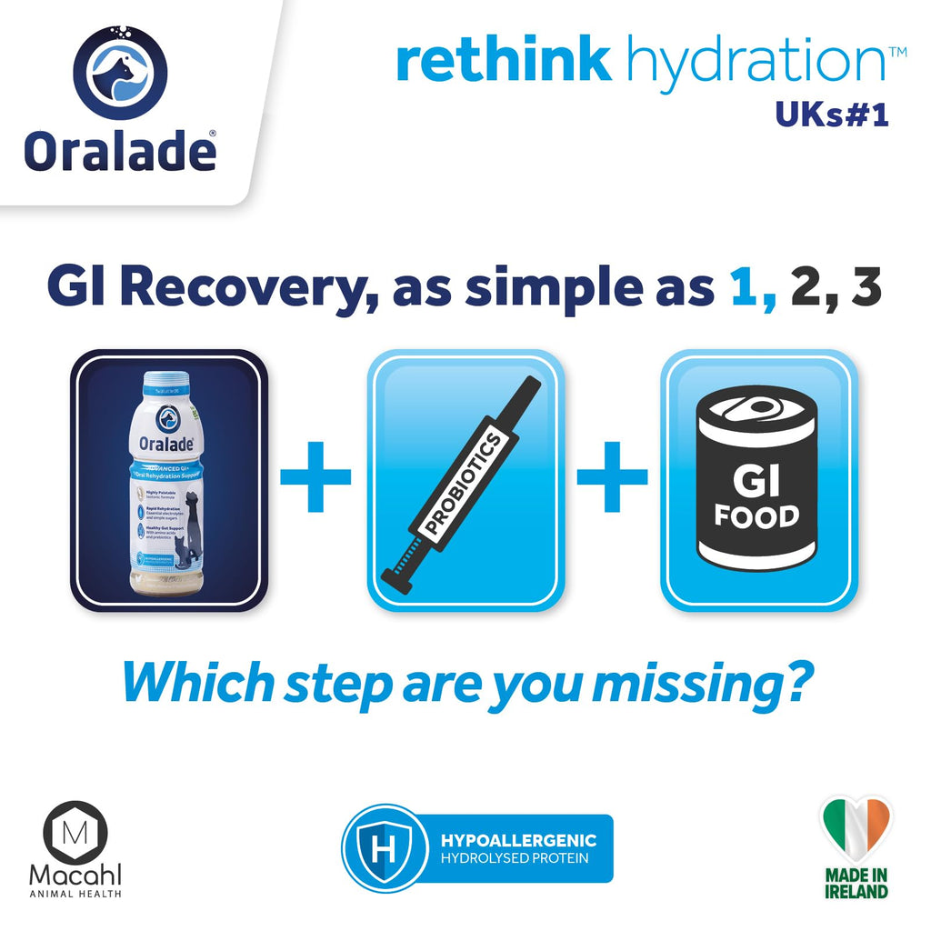 Oralade Gi Support Rehydration Fluid 500ml (1x Single Bottle)