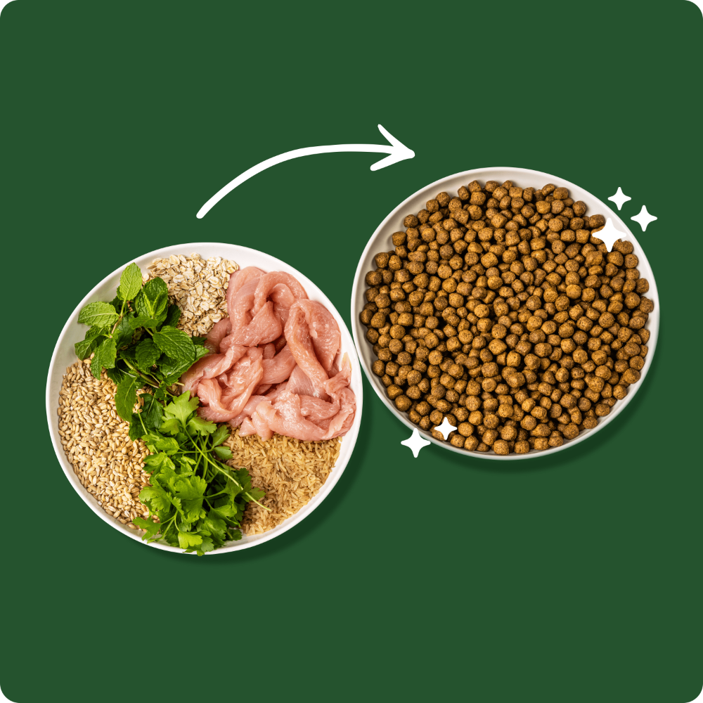 Green Pantry Dental Health Support Natural Dog Food Turkey with Mint and Parsley