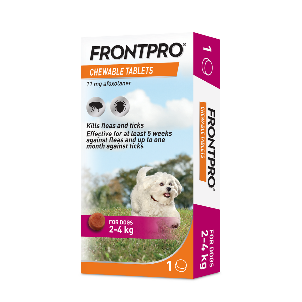 FRONTPRO® Chewable Tablets Flea & Tick Treatment for Dogs 1 Tablet