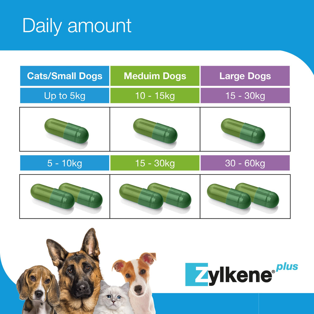 Zylkene Plus Calming Supplement for Cats and Dogs