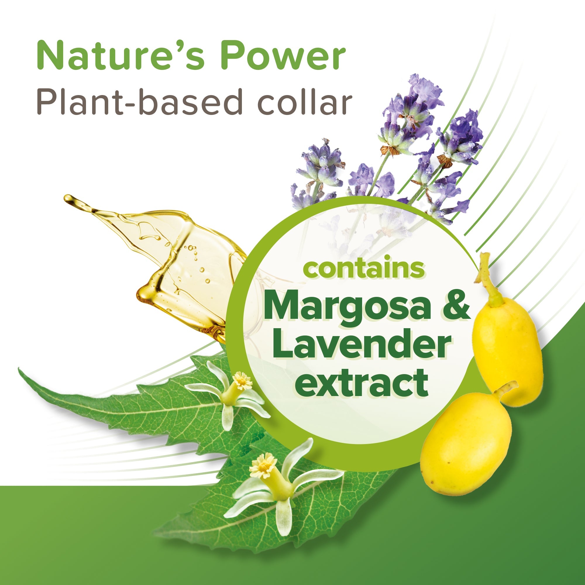 Beaphar VETOpure Reflective Collar For Cats Plant-Based Protection Repels Fleas