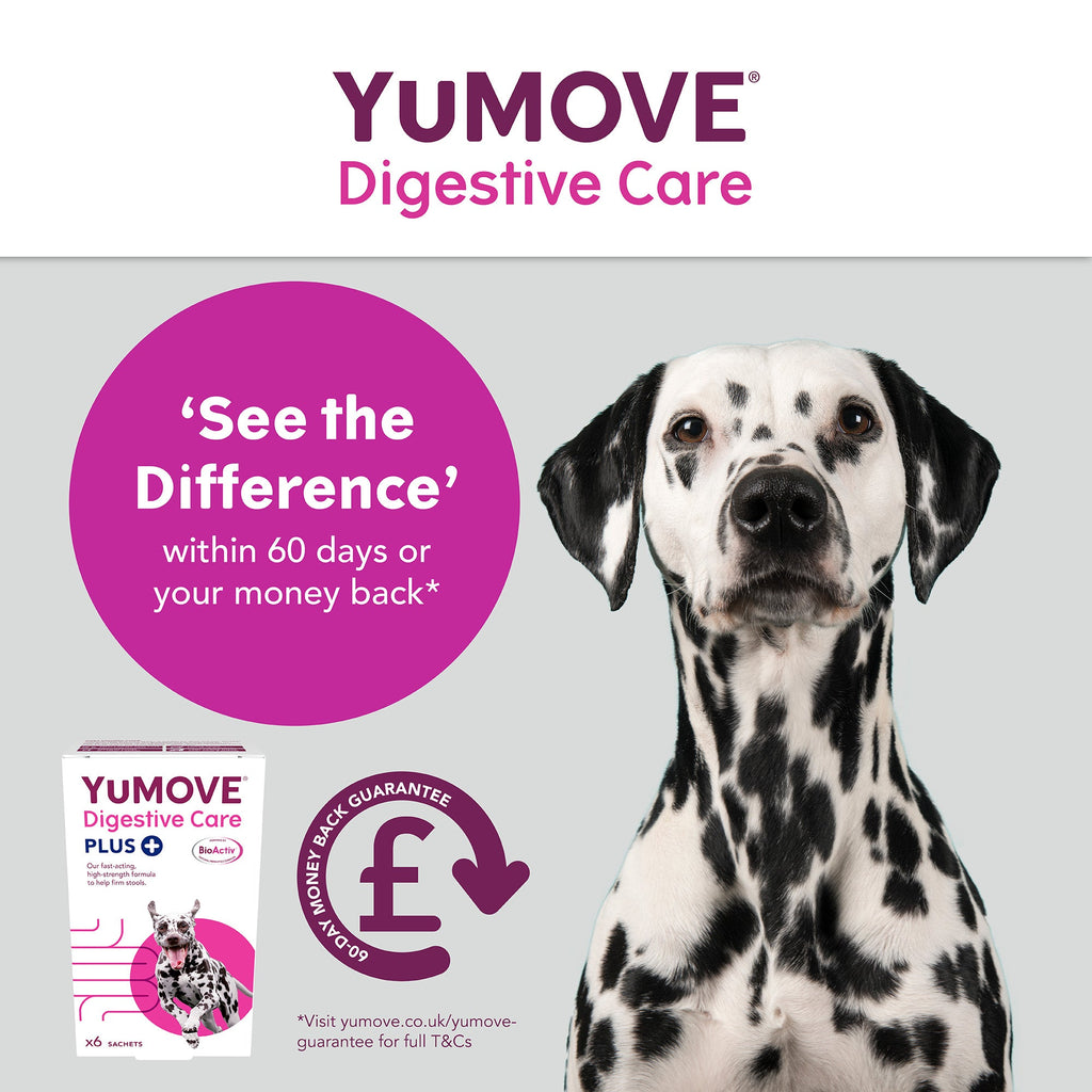 YuMOVE Digestive Care PLUS - Various Sizes