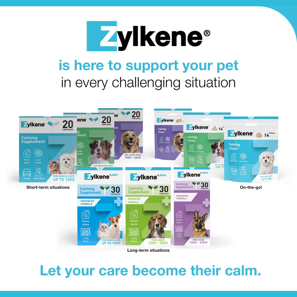 Zylkene Calming Supplement for Cats and Dogs Up to 10kg