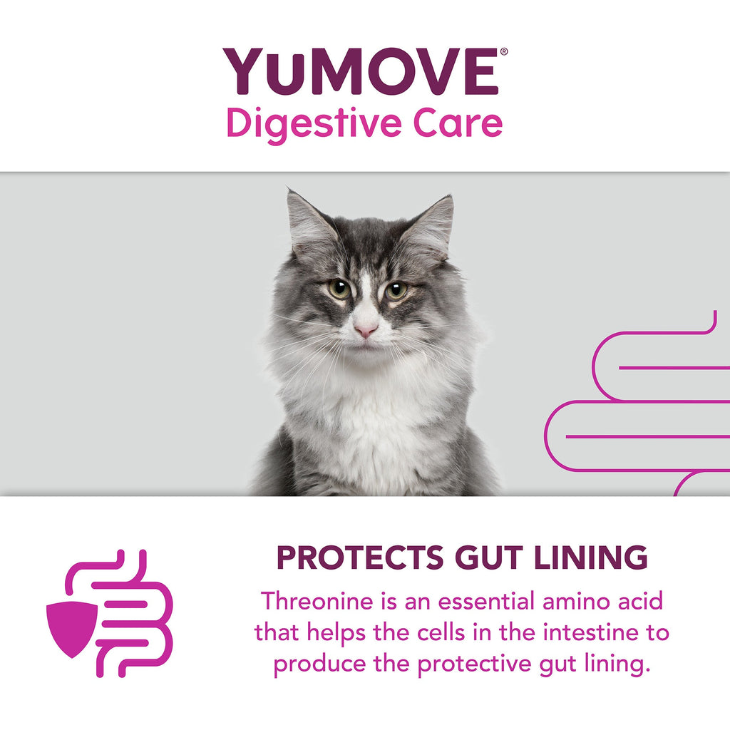 YuMOVE Digestive Care PLUS - Various Sizes