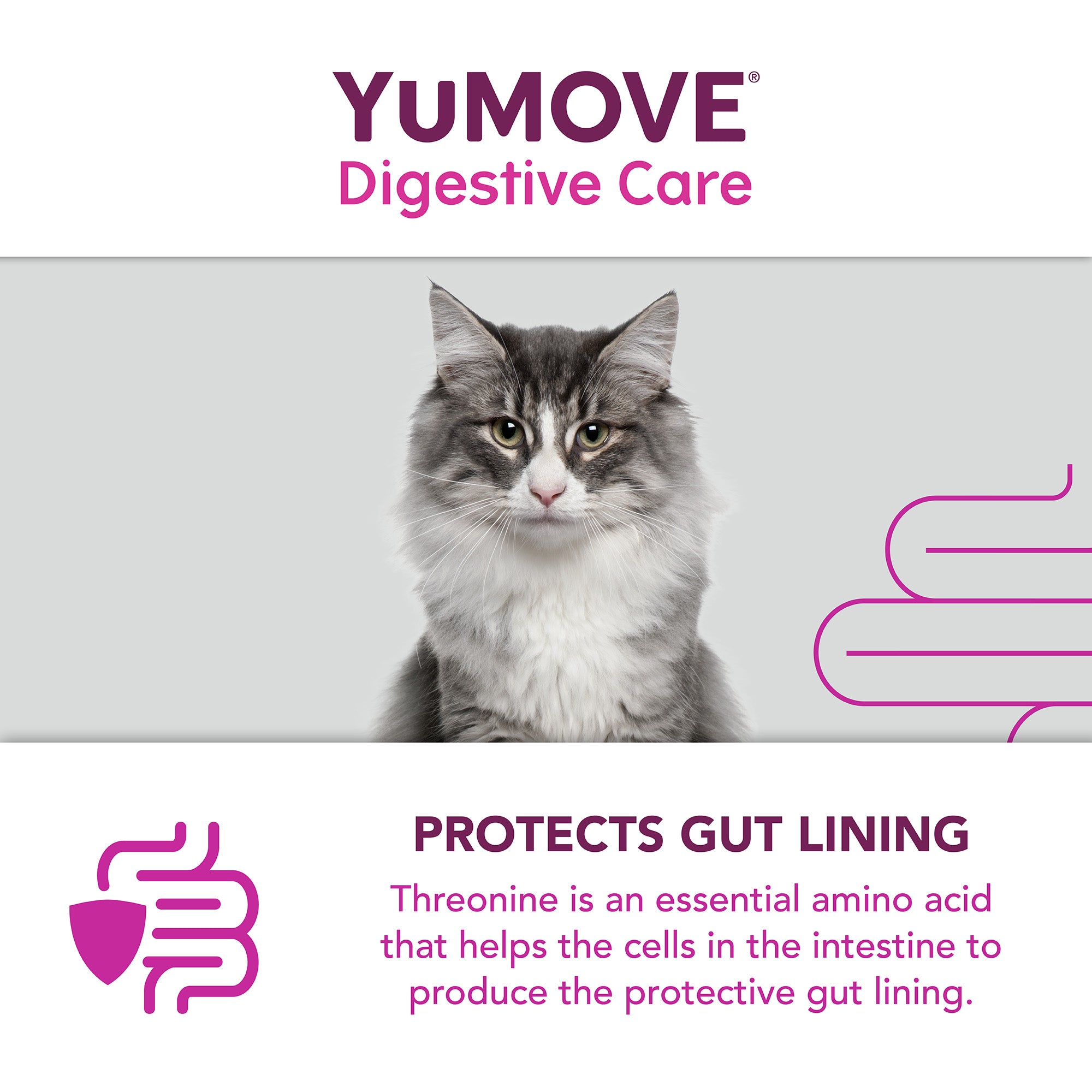 YuMOVE Digestive Care PLUS - Various Sizes