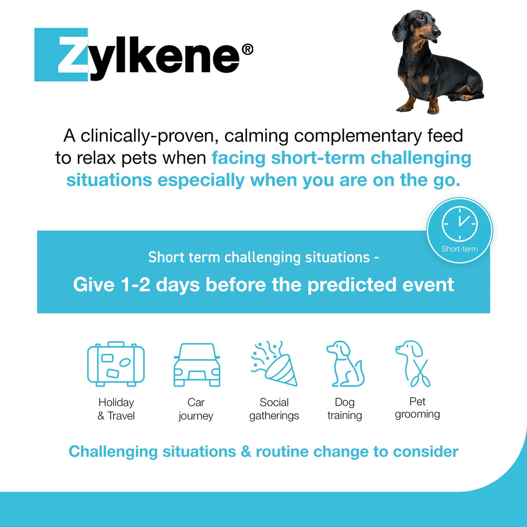 Zylkene Calming Supplement for Cats and Dogs Up to 10kg
