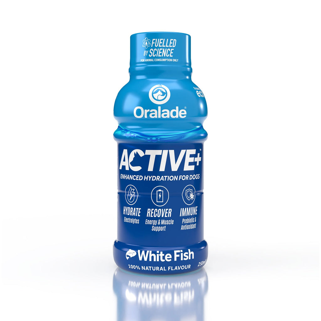 Oralade Active Isotonic Re-Hydration Fluid For Dogs 250ml