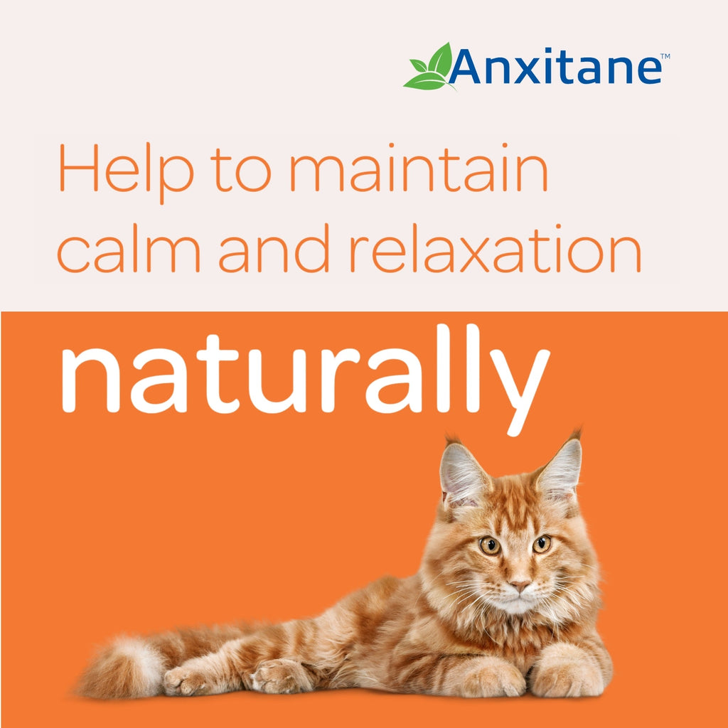 Anxitane Chewable Tablets For Dogs & Cats - 30 Pack