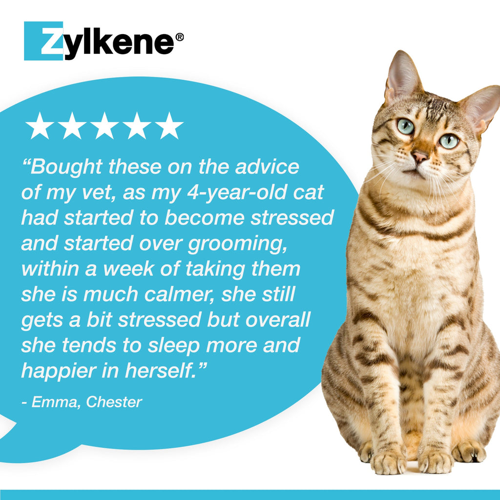 Zylkene Calming Supplement for Cats and Dogs Up to 10kg