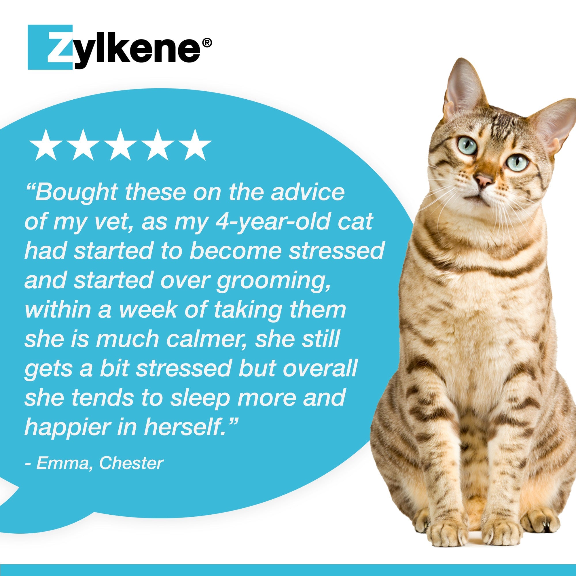 Zylkene Calming Supplement for Cats and Dogs Up to 10kg