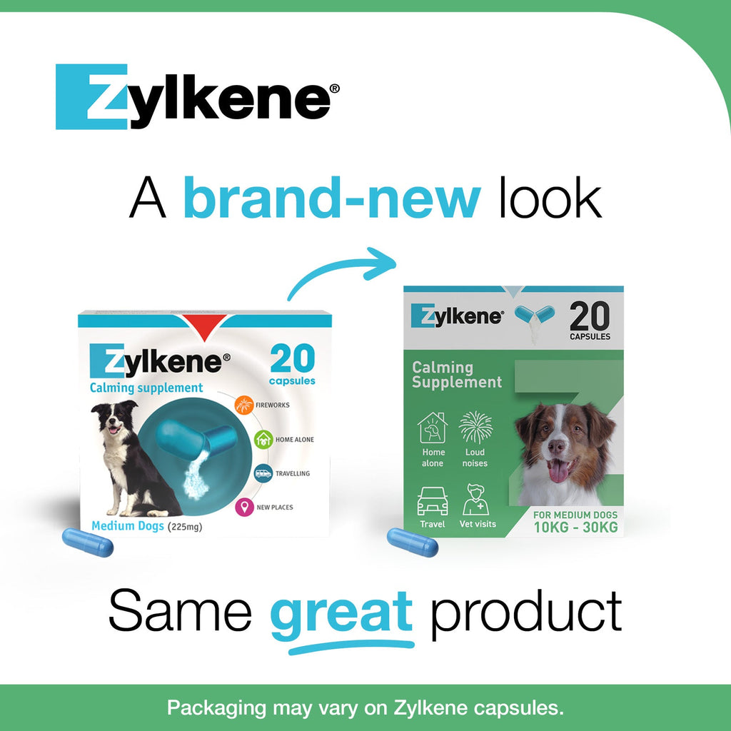 Zylkene Calming Supplement for Dogs 10-30kg