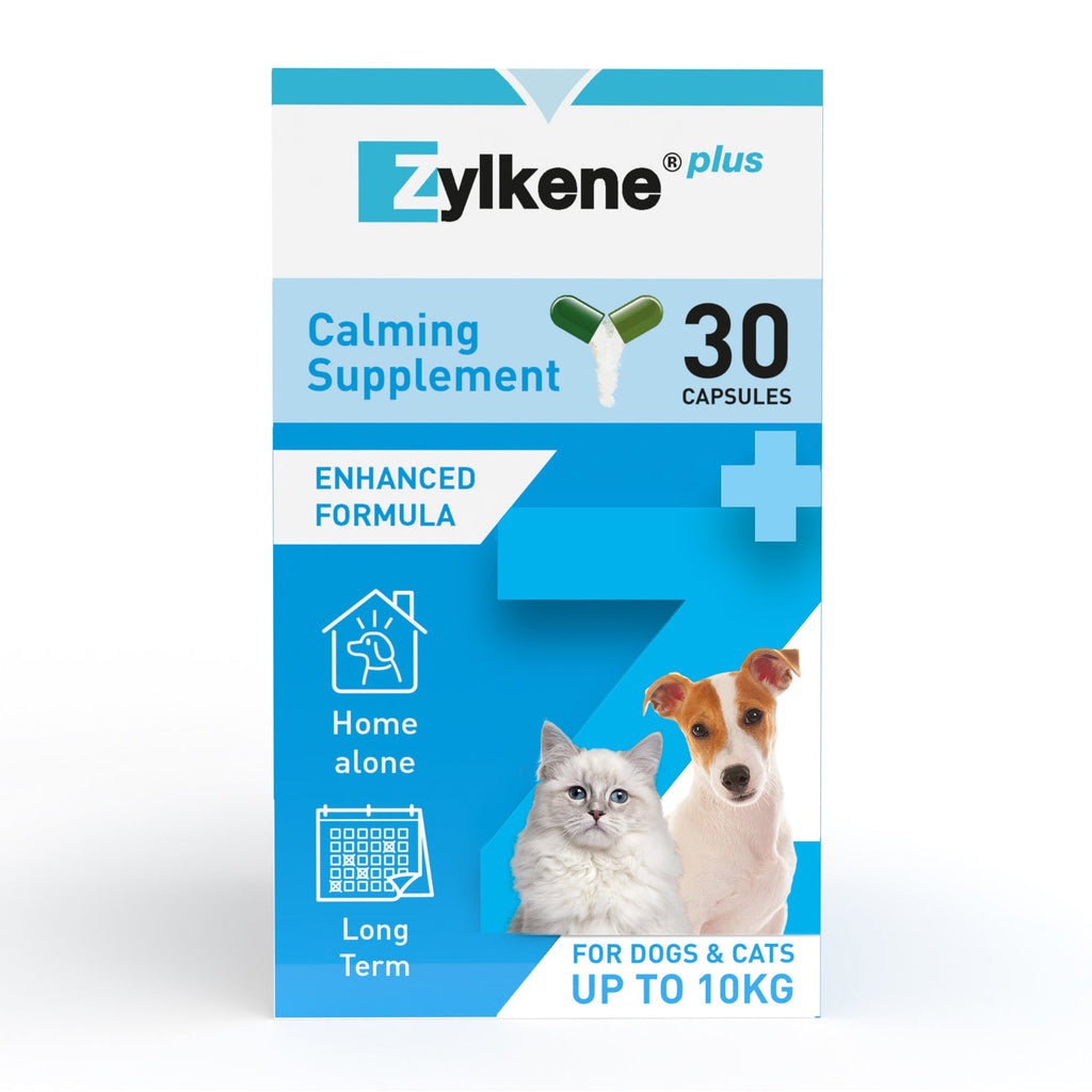 Zylkene Plus Calming Supplement for Cats and Dogs