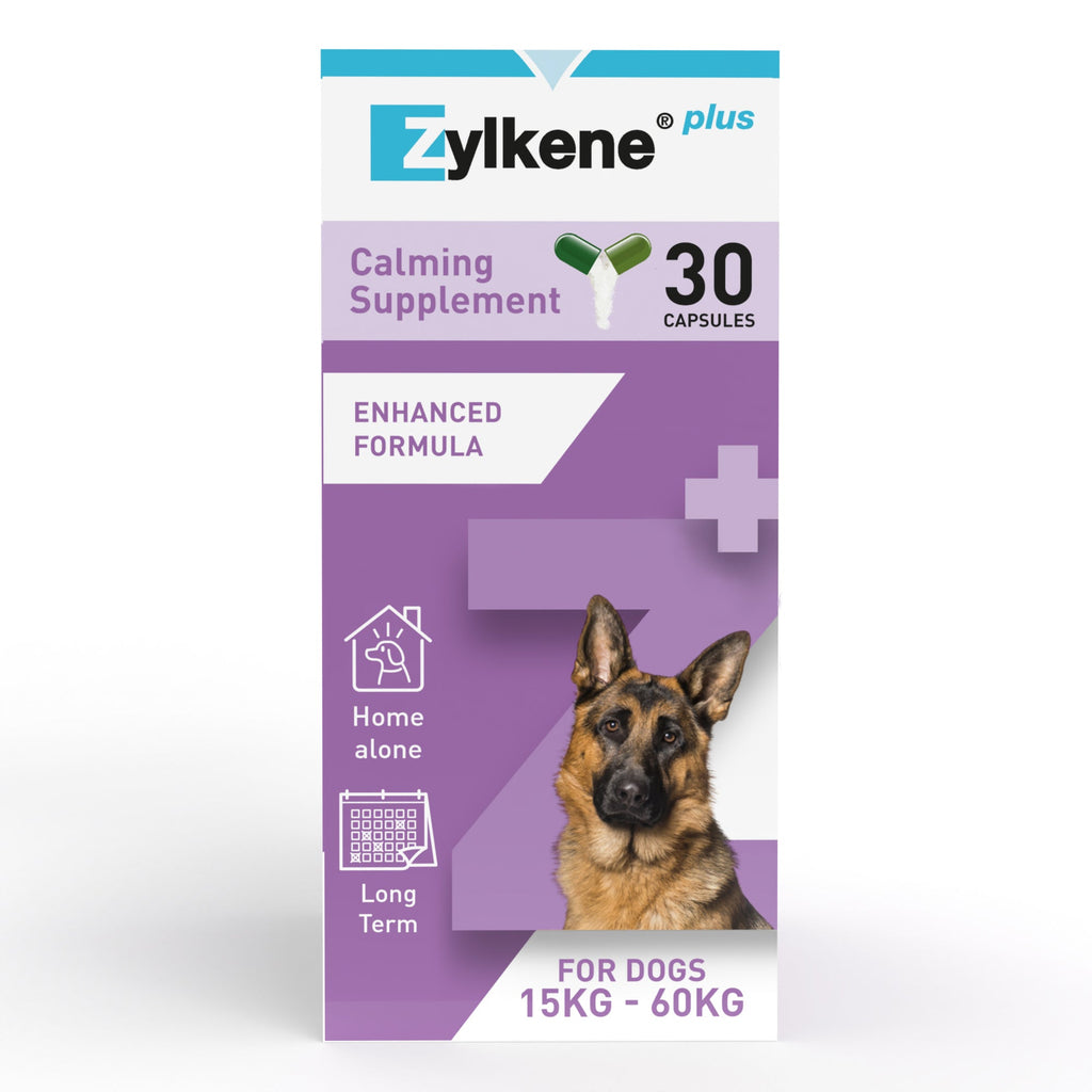 Zylkene Plus Calming Supplement for Cats and Dogs