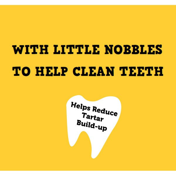 Petello Nobblys Tough Brush Peanut Butter 25g