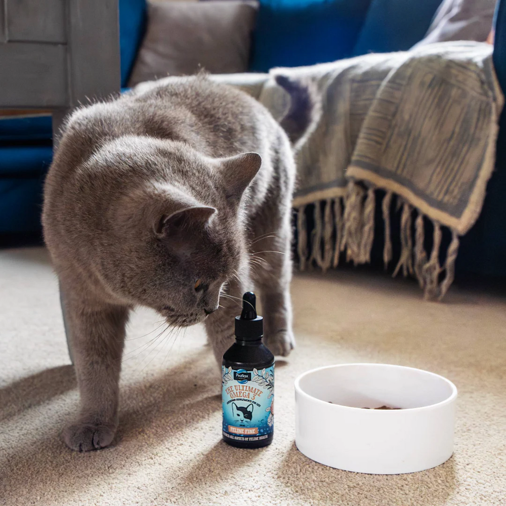 Proflax Feline Fine 100ml