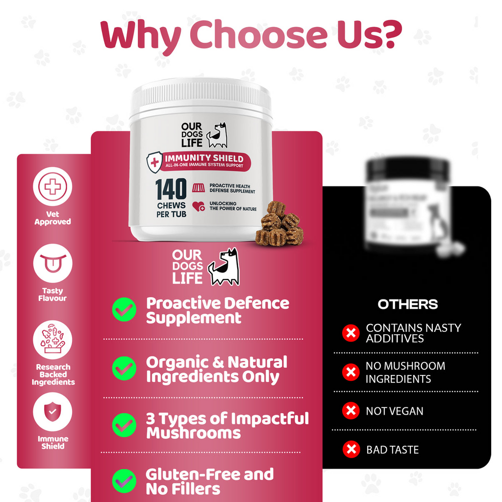 Our Dogs Life Immunity Shield - 140 Chews