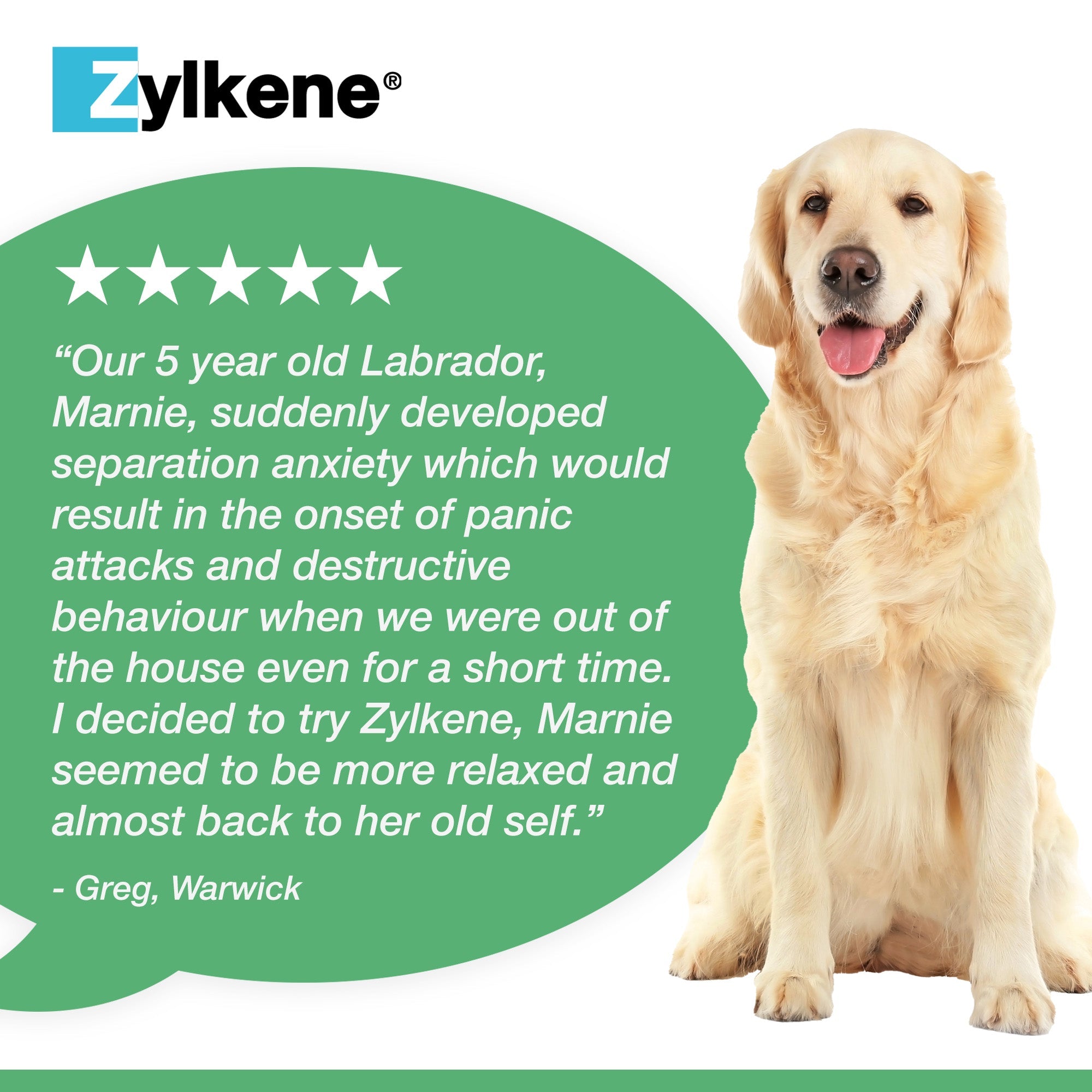 Zylkene Calming Supplement for Dogs 10-30kg