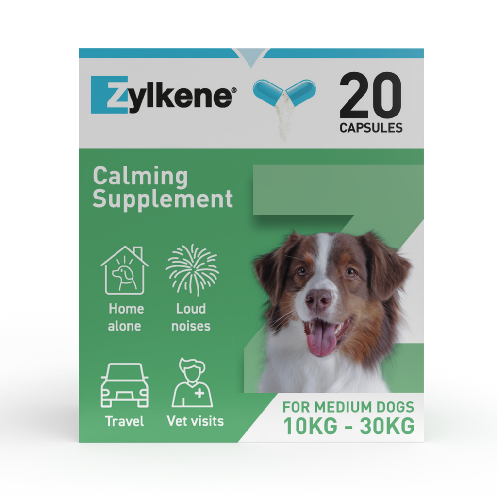 Zylkene Calming Supplement for Dogs 10-30kg
