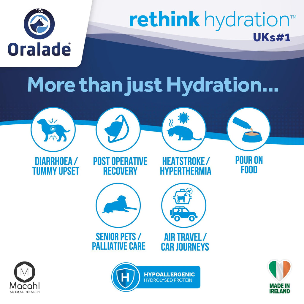 Oralade Gi Support Rehydration Fluid 500ml (1x Single Bottle)