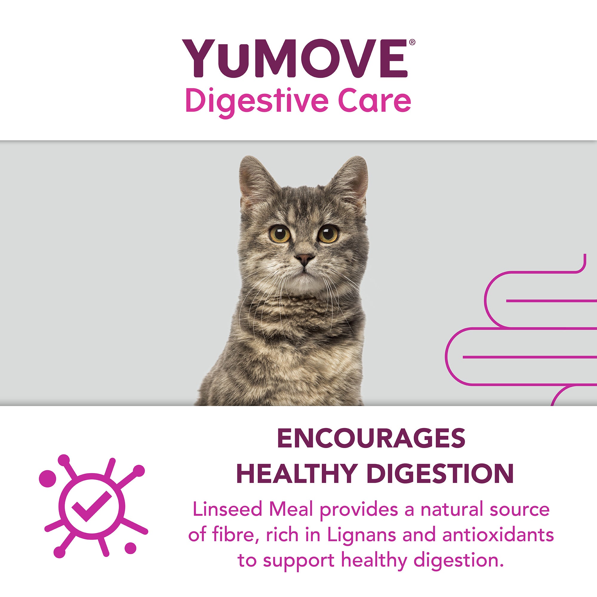 YuMOVE Digestive Care PLUS - Various Sizes