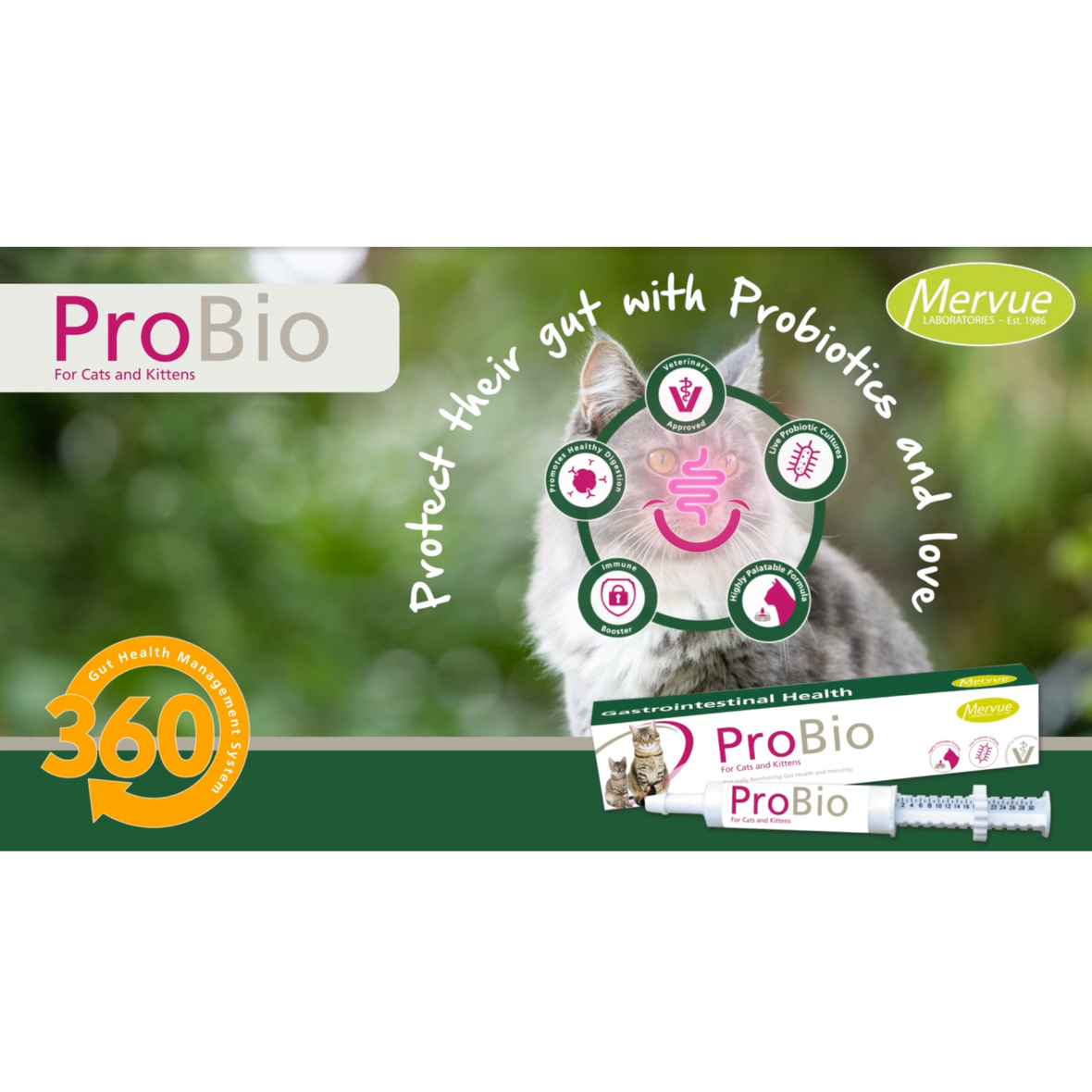 Mervue ProBio Paste For Cats & Kittens - Gut Health & Immunity