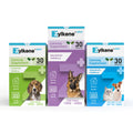 Zylkene Plus Calming Supplement for Cats and Dogs