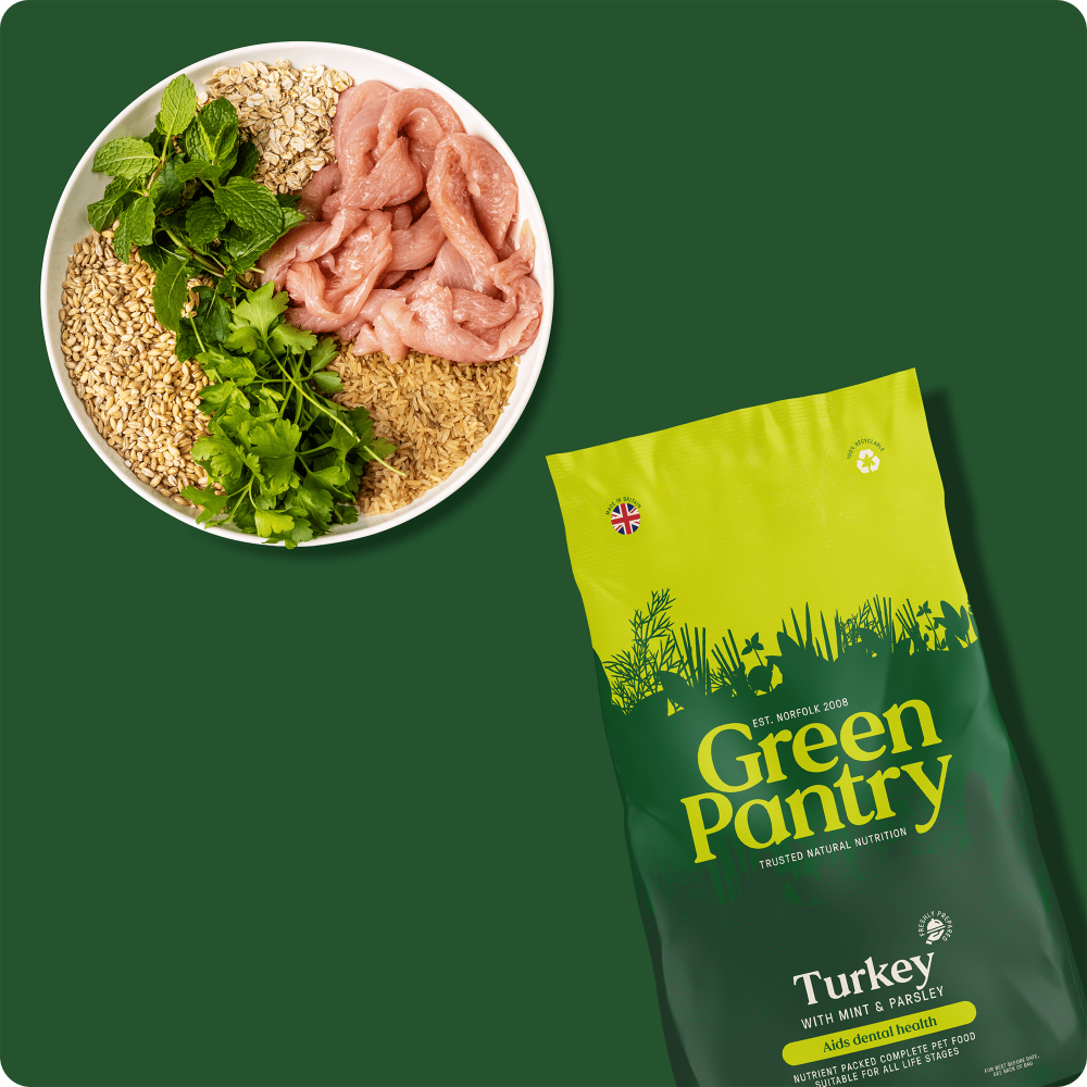 Green Pantry Dental Health Support Natural Dog Food Turkey with Mint and Parsley