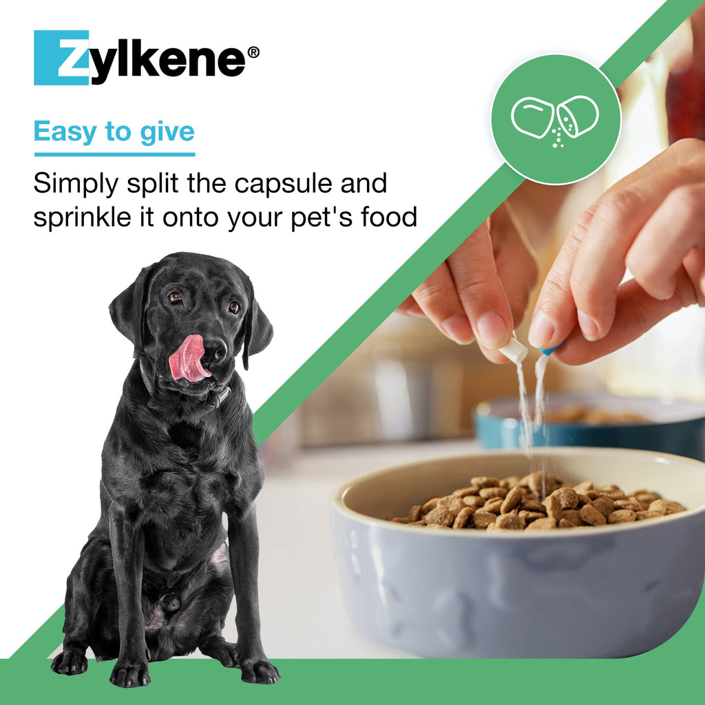 Zylkene Calming Supplement for Dogs 10-30kg
