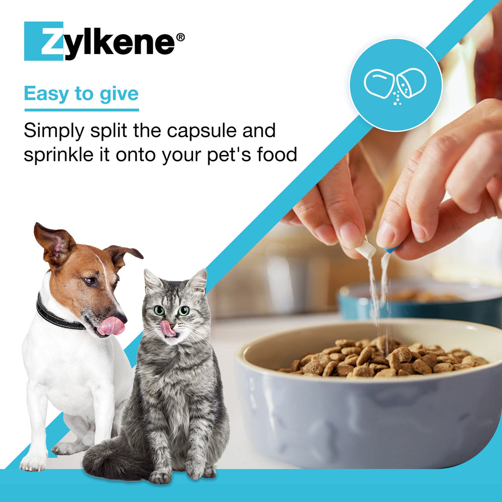 Zylkene Calming Supplement for Cats and Dogs Up to 10kg