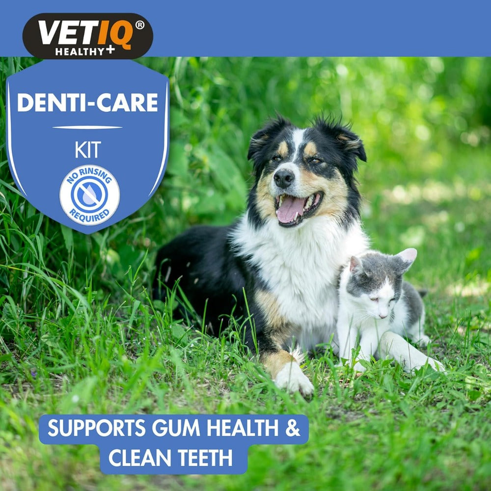 VETIQ Denti-Care Kit 70G