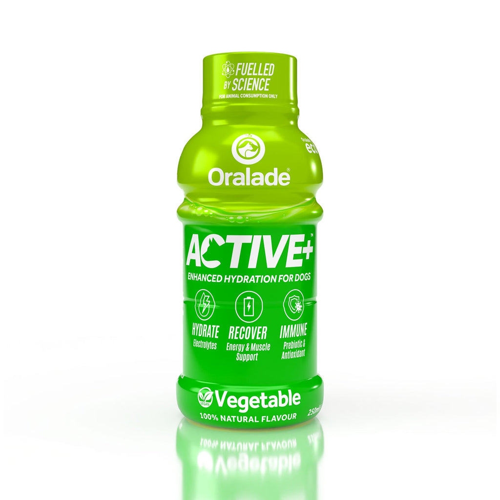 Oralade Active Isotonic Re-Hydration Fluid For Dogs 250ml