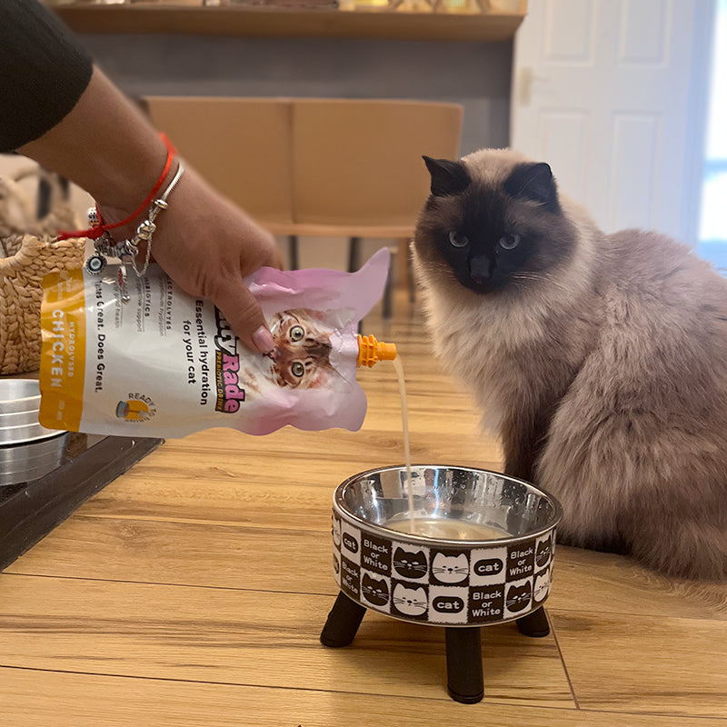 KittyRade 250ml Isotonic Drink & Free KittyRade Meat Snacks Chicken