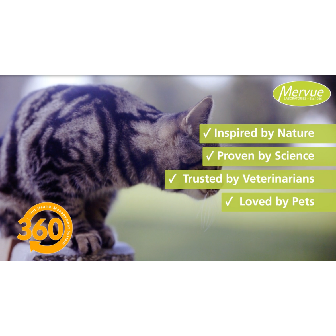 Mervue ProBio Paste For Cats & Kittens - Gut Health & Immunity