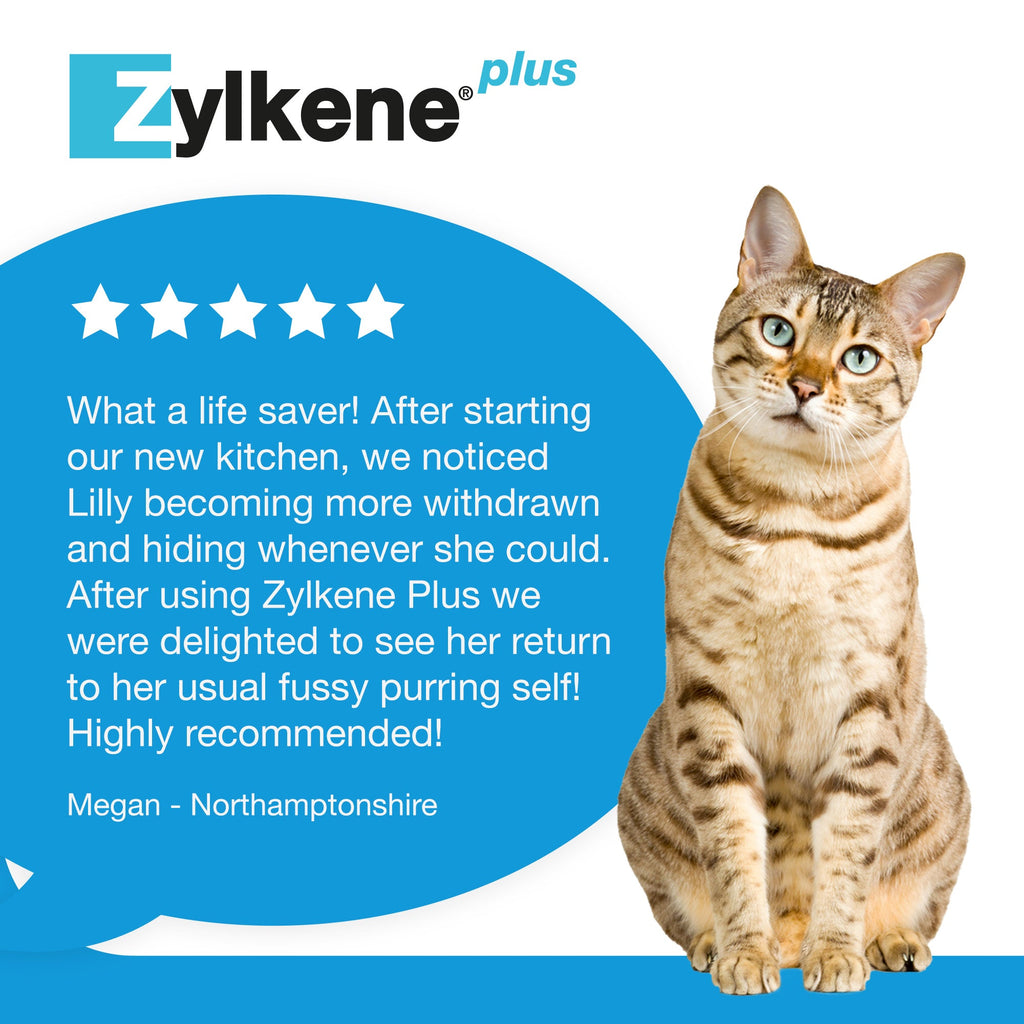 Zylkene Plus Calming Supplement for Cats and Dogs