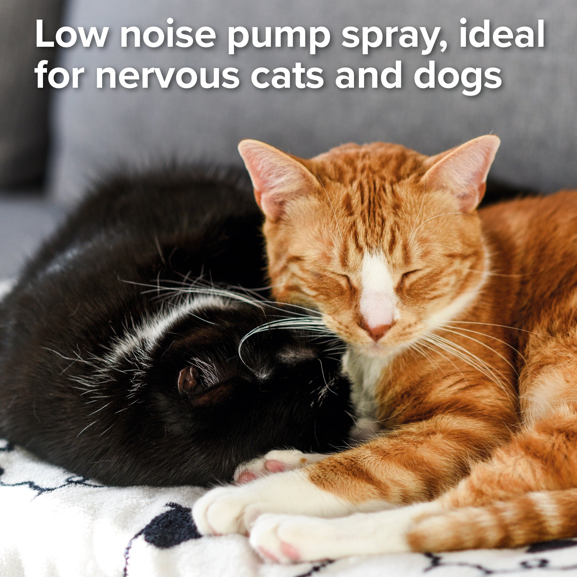 Beaphar Flea Spray for Cats and Dogs 150ml