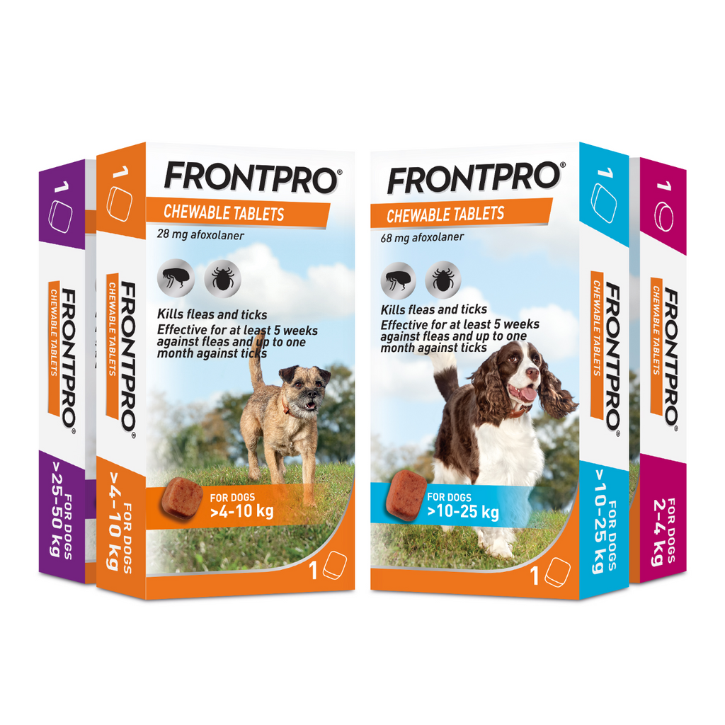 FRONTPRO® Chewable Tablets Flea & Tick Treatment for Dogs 1 Tablet
