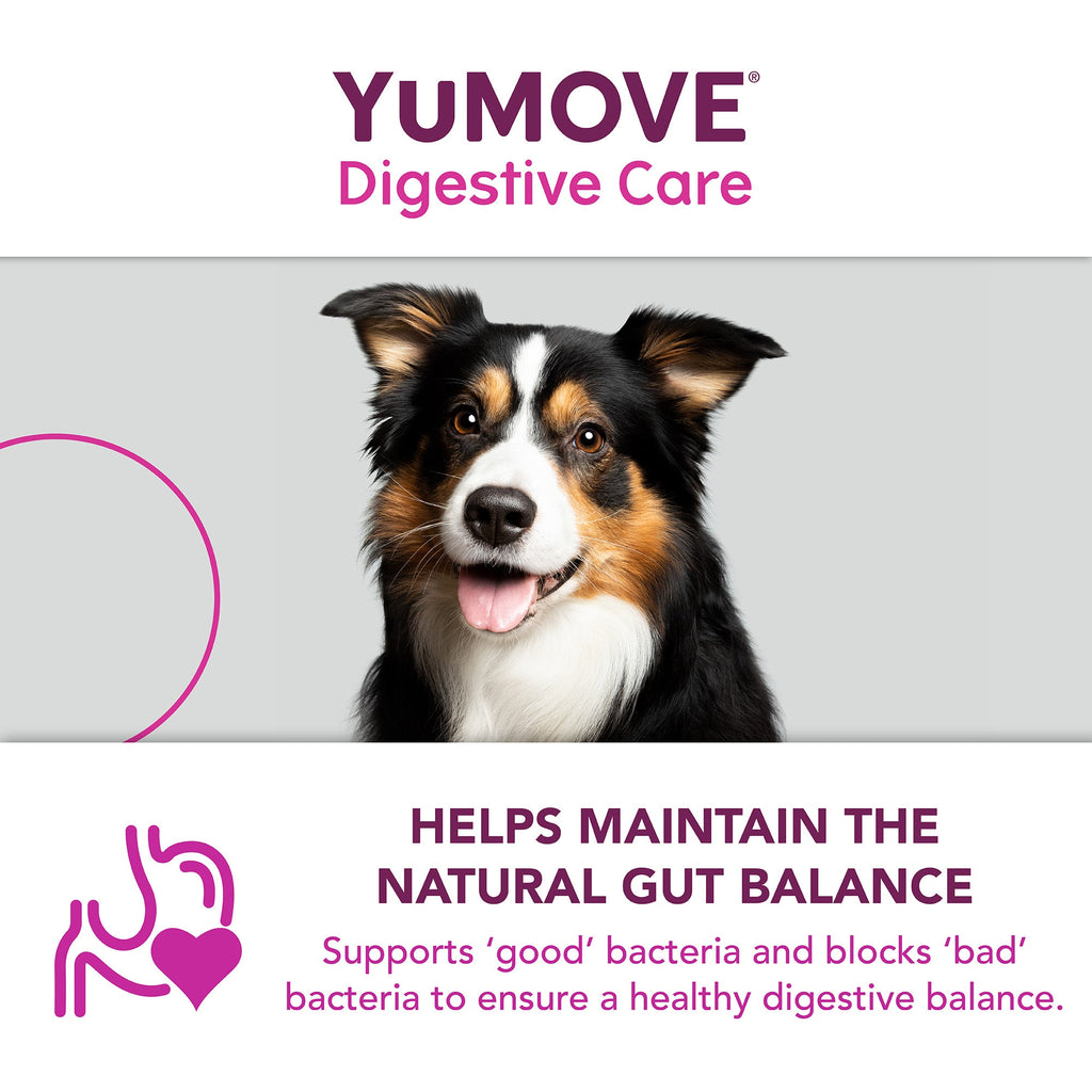 YuMOVE Digestive Care PLUS - Various Sizes