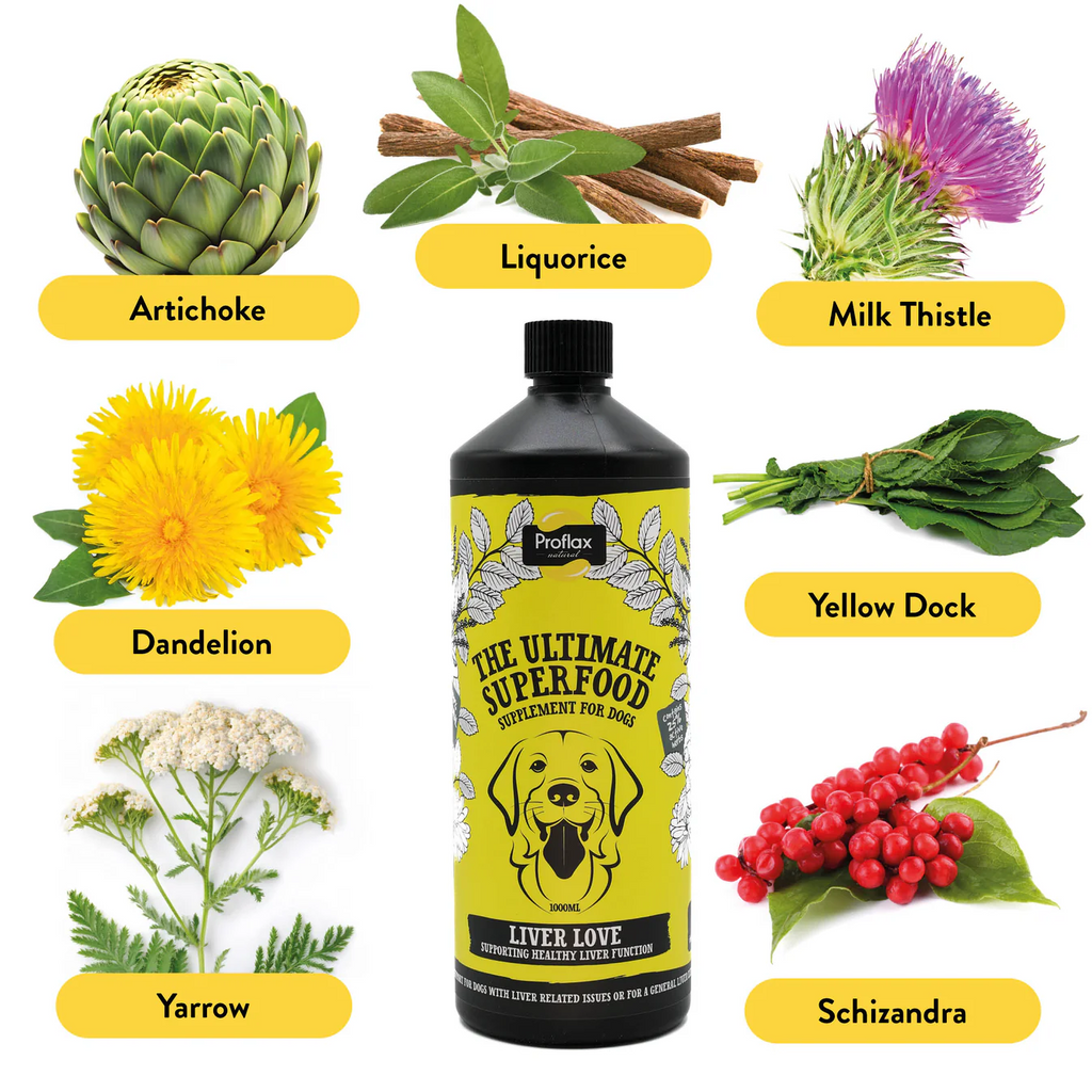 Proflax Liver Love Supplement