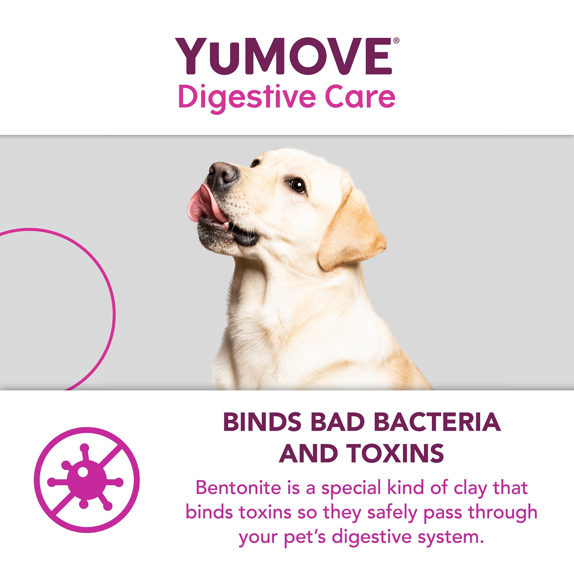 YuMOVE Digestive Care PLUS - Various Sizes
