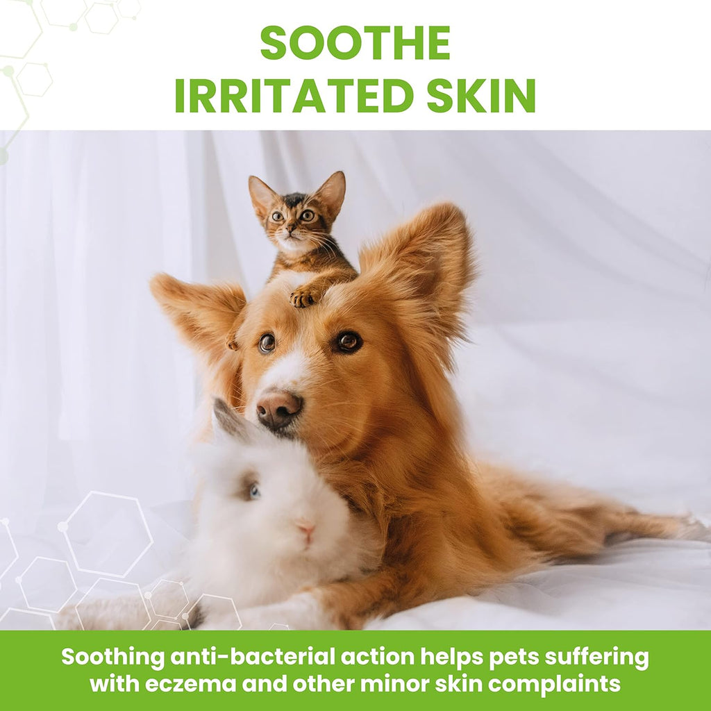 Vetzyme Anti-Bacterial Powder 40g