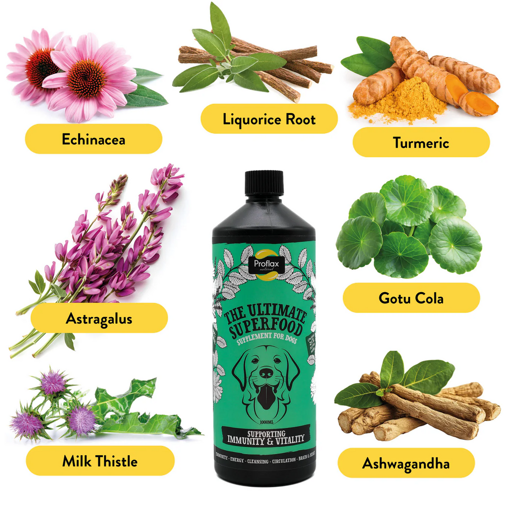 Proflax Immunity & Vitality Supplement