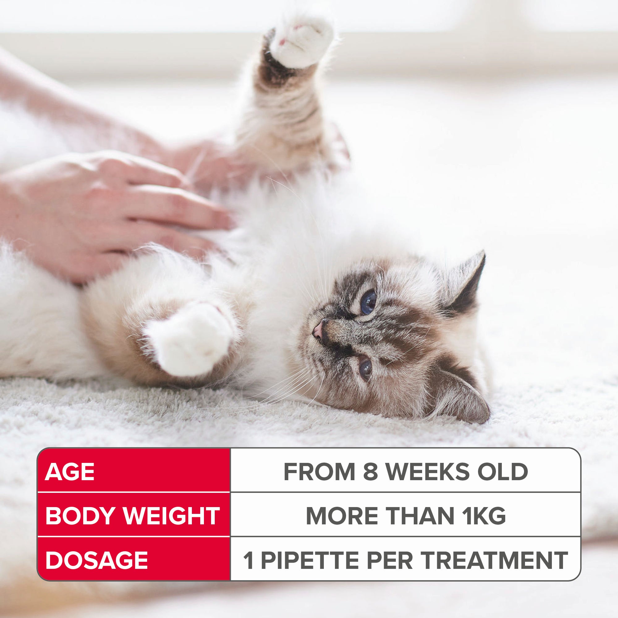 Beaphar FIPROtec Spot On Cat 6 Pipettes