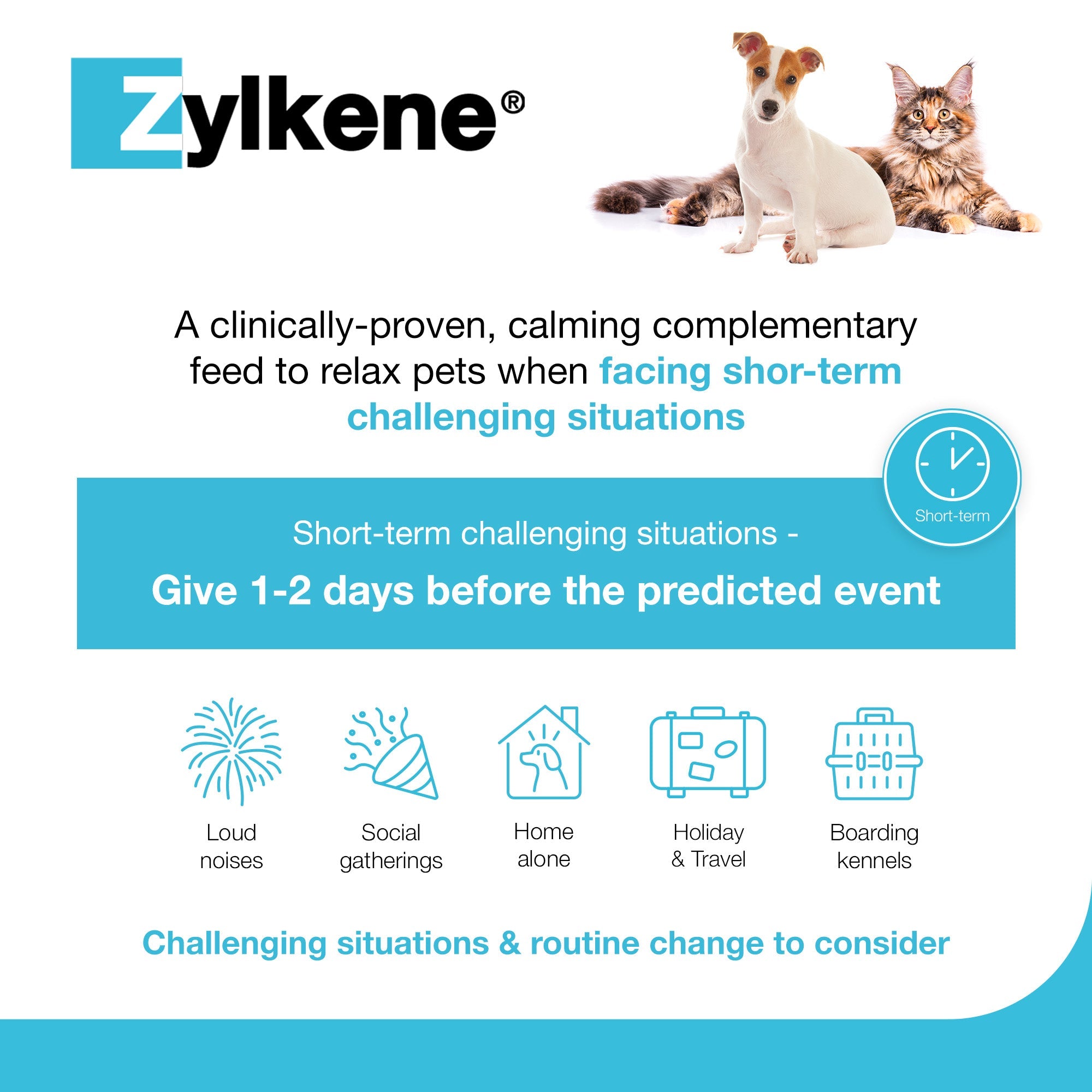 Zylkene Calming Supplement for Cats and Dogs Up to 10kg