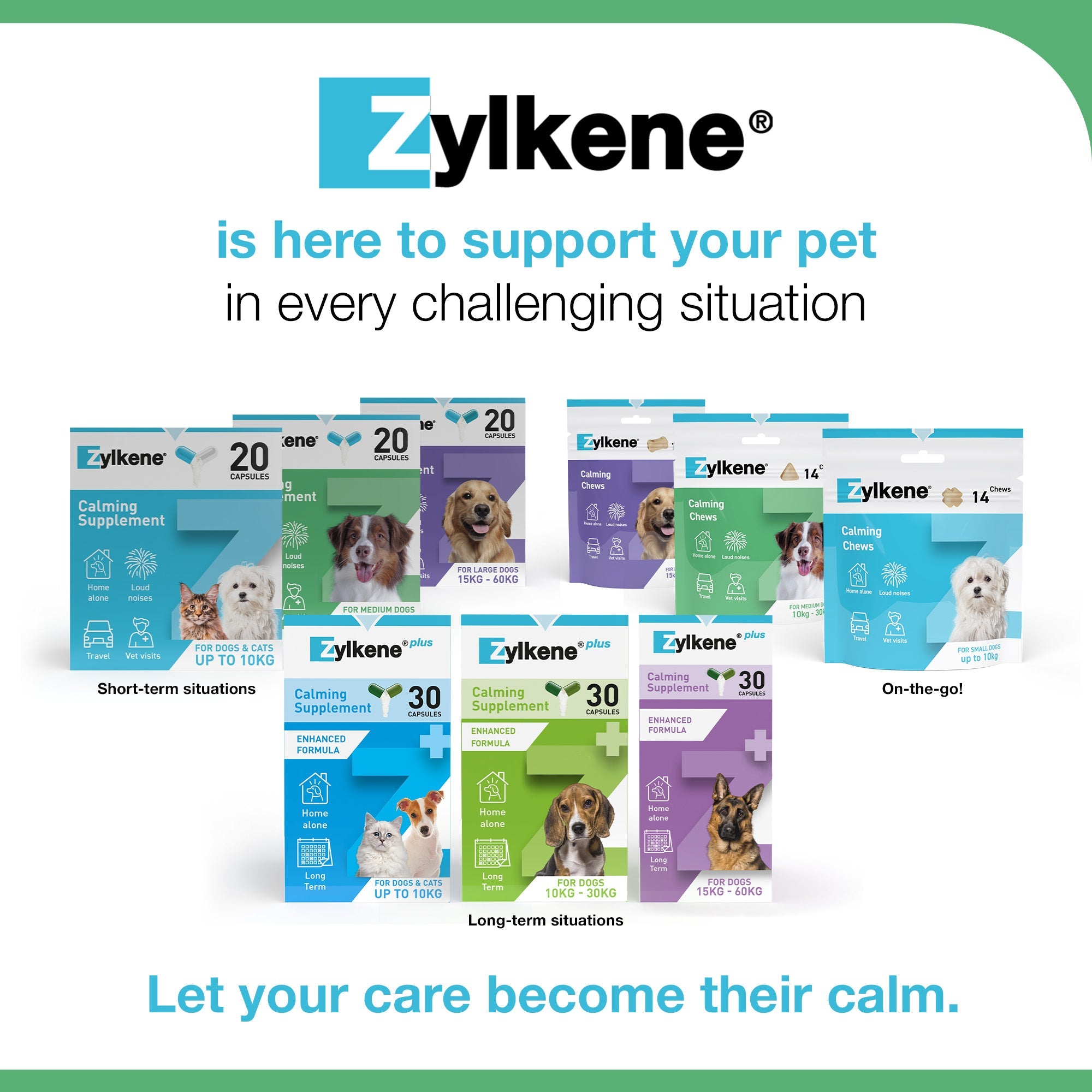 Zylkene Calming Supplement for Dogs 10-30kg