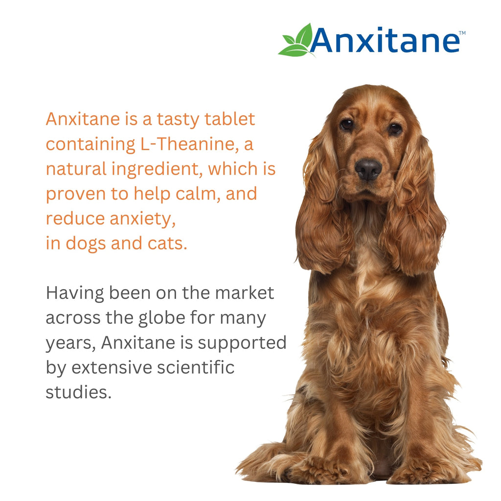 Anxitane Chewable Tablets For Dogs & Cats - 30 Pack